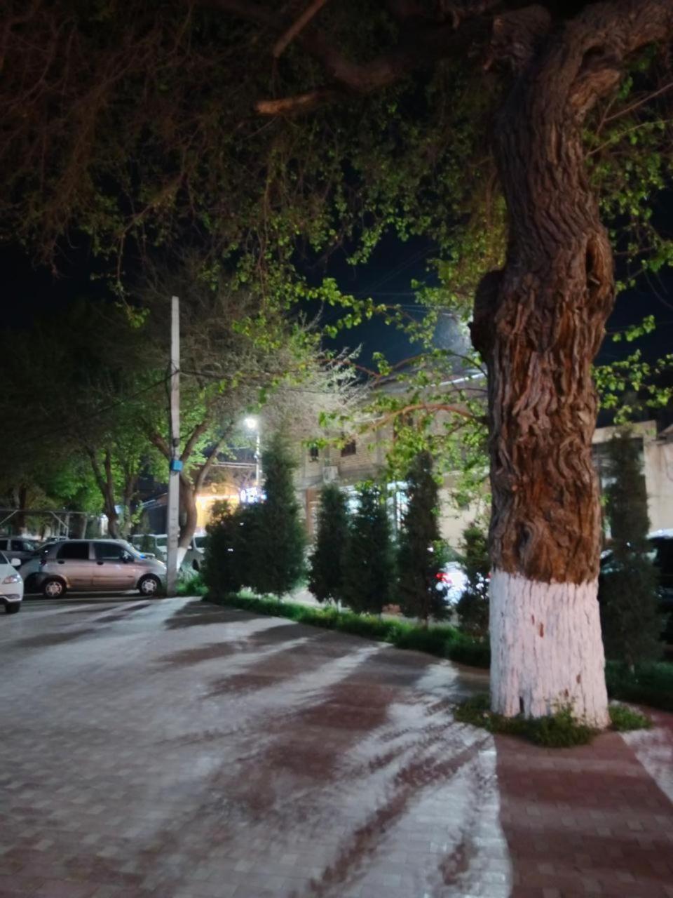 Gulsara Hostel Самарканд Экстерьер фото